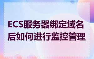 ECS服务器绑定域名后如何进行监控管理