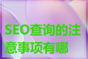 SEO查询的注意事项有哪些