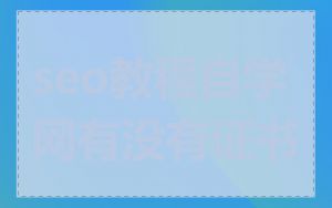 seo教程自学网有没有证书