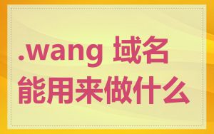 .wang 域名能用来做什么