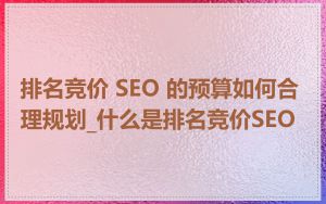 排名竞价 SEO 的预算如何合理规划_什么是排名竞价SEO