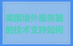 美国境外服务器的技术支持如何