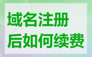域名注册后如何续费