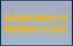 域名解析器和DNS服务器有什么区别