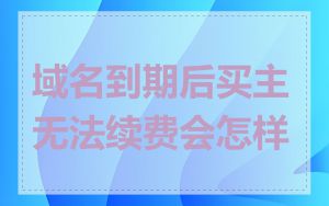 域名到期后买主无法续费会怎样