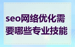 seo网络优化需要哪些专业技能