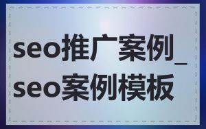 seo推广案例_seo案例模板