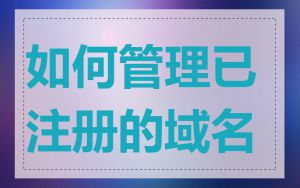 如何管理已注册的域名