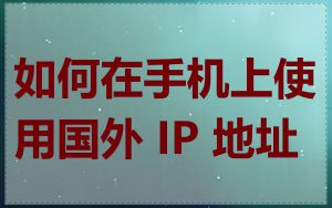 如何在手机上使用国外 IP 地址