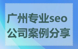 广州专业seo公司案例分享