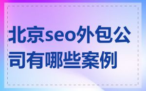 北京seo外包公司有哪些案例