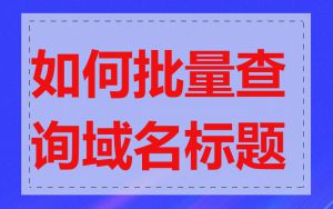 如何批量查询域名标题
