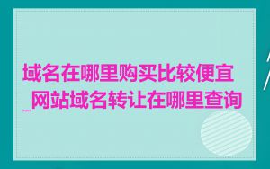 域名在哪里购买比较便宜_网站域名转让在哪里查询