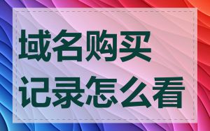 域名购买记录怎么看