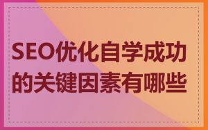 SEO优化自学成功的关键因素有哪些