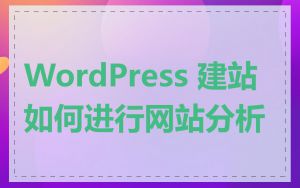 WordPress 建站如何进行网站分析