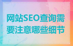 网站SEO查询需要注意哪些细节