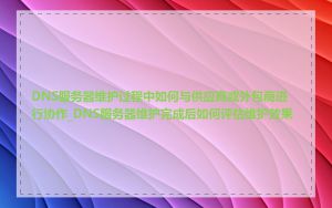 DNS服务器维护过程中如何与供应商或外包商进行协作_DNS服务器维护完成后如何评估维护效果