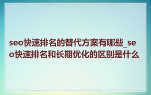 seo快速排名的替代方案有哪些_seo快速排名和长期优化的区别是什么