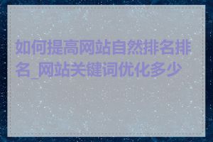 如何提高网站自然排名排名_网站关键词优化多少钱