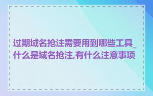 过期域名抢注需要用到哪些工具_什么是域名抢注,有什么注意事项