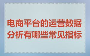 电商平台的运营数据分析有哪些常见指标
