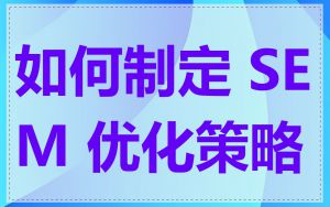如何制定 SEM 优化策略