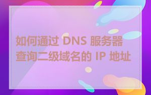 如何通过 DNS 服务器查询二级域名的 IP 地址