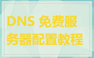 DNS 免费服务器配置教程