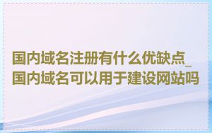 国内域名注册有什么优缺点_国内域名可以用于建设网站吗