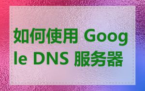 如何使用 Google DNS 服务器