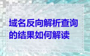 域名反向解析查询的结果如何解读
