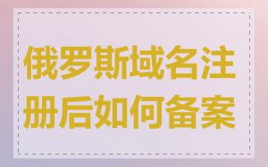 俄罗斯域名注册后如何备案