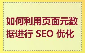 如何利用页面元数据进行 SEO 优化