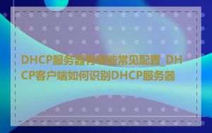 DHCP服务器有哪些常见配置_DHCP客户端如何识别DHCP服务器
