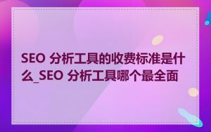 SEO 分析工具的收费标准是什么_SEO 分析工具哪个最全面
