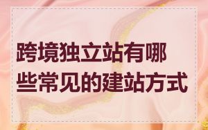 跨境独立站有哪些常见的建站方式