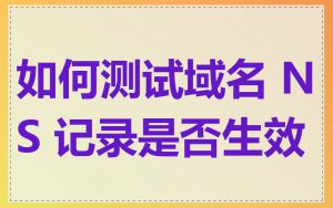 如何测试域名 NS 记录是否生效