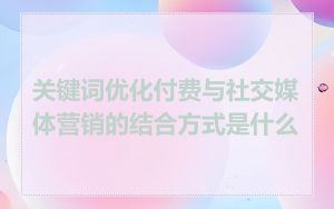 关键词优化付费与社交媒体营销的结合方式是什么