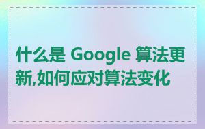 什么是 Google 算法更新,如何应对算法变化
