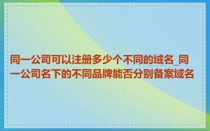 同一公司可以注册多少个不同的域名_同一公司名下的不同品牌能否分别备案域名