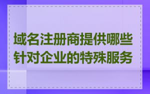 域名注册商提供哪些针对企业的特殊服务