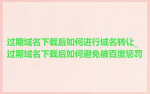 过期域名下载后如何进行域名转让_过期域名下载后如何避免被百度惩罚