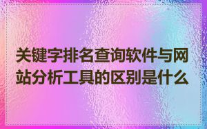 关键字排名查询软件与网站分析工具的区别是什么