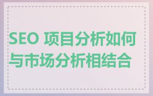 SEO 项目分析如何与市场分析相结合