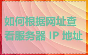 如何根据网址查看服务器 IP 地址