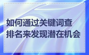 如何通过关键词查排名来发现潜在机会