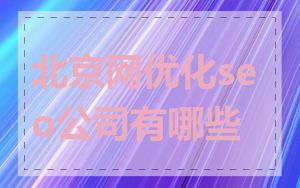 北京网优化seo公司有哪些