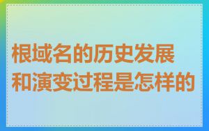 根域名的历史发展和演变过程是怎样的