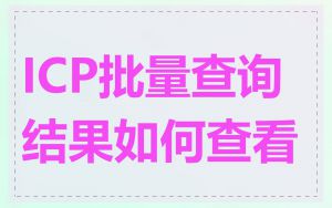 ICP批量查询结果如何查看